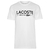 Camiseta Lacoste Cotton Jersey Classic Masculino - loja online