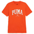 Camiseta Puma Squad Masculino - comprar online
