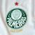 Camisa Puma Palmeiras II Away Jogador 24/25 Masculino - Procopio