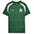 Camisa Puma Palmeiras Pre Match Masculino - comprar online