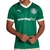 Camisa Puma Palmeiras I Torcedor 2025 Masculino - Procopio