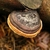 Doble Extracto de Phellinus Linteus 100ml en internet