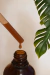 Doble Extracto de Reishi 100ml en internet