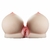 Masturbador Seio e vagina - comprar online