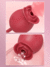 Vibrador rosa 2 em 1 sucção / vai e vem - comprar online