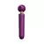 Vibrador Varinha Mágica 3 em 1 Recarregável na internet