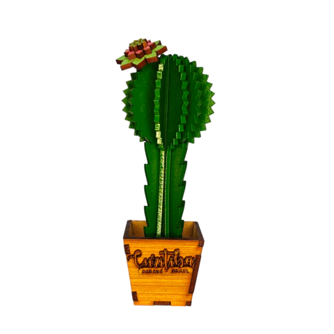 Vaso Decorativo Cacto - Curitiba - Souvenir Curitiba