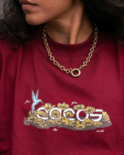 Camiseta Beija-flor grená - comprar online