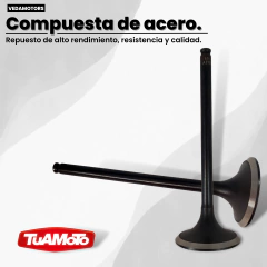 VALVULA DE ADMISION TWISTER/TORNADO/XRE 300 VEDAMOTORS - tienda online