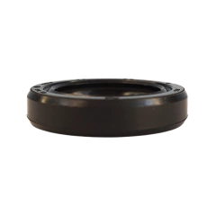 RETEN GUARDA POLVO HONDA VARIAS (17x24x5) en internet