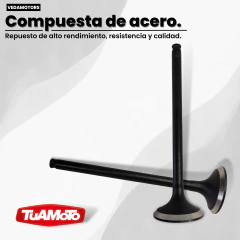 VALVULA DE ESCAPE TWISTER/TORNADO/XRE 300 VEDAMOTORS - tienda online