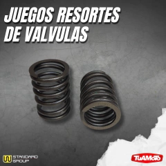 JUEGO RESORTES VÁLVULAS ADMISIÓN/ESCAPE (2 PIEZAS) NEW WAVE 110 - Tuamoto Mayorista