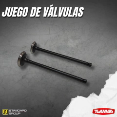 JUEGO VALVULAS ADMISIÓN Y ESCAPE/BAJAJ ROUSER 135 - Tuamoto Mayorista