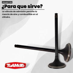 Imagen de VALVULA DE ADMISION TWISTER/TORNADO/XRE 300 VEDAMOTORS