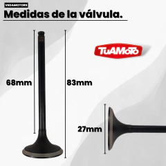 VALVULA DE ADMISION TWISTER/TORNADO/XRE 300 VEDAMOTORS