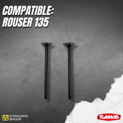 JUEGO VALVULAS ADMISIÓN Y ESCAPE/BAJAJ ROUSER 135 - tienda online