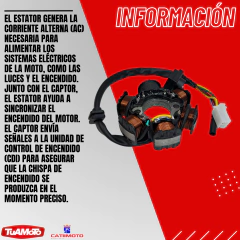 ESTATOR 6 CAMPOS GILERA SMASH CATI - tienda online