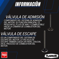 Imagen de JUEGO DE VALVULAS ADMISIÓN Y ESCAPE HONDA CG 150 TITAN TKRJ