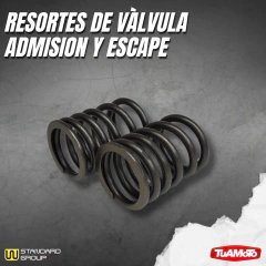 Imagen de JUEGO RESORTES VÁLVULAS ADMISIÓN/ESCAPE (2 PIEZAS) NEW WAVE 110