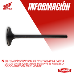 VALVULA DE ESCAPE HONDA BROSS/XR 125 VARILLERA