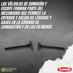 JUEGO VALVULAS ADMISIÓN Y ESCAPE GILERA SMASH/WAVE/BIZ 105 - comprar online