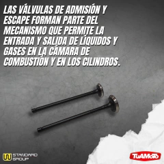 JUEGO VALVULAS ADMISIÓN Y ESCAPE/BAJAJ ROUSER 135 - comprar online