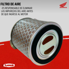 FILTRO DE AIRE HONDA XRE 300 en internet