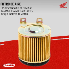 FILTRO DE AIRE HONDA ELITE 125 2009 en internet