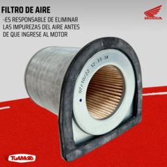 FILTRO DE AIRE HONDA CBX 250 TWISTER en internet
