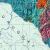 Mapa de Solos do Rio Grande do Sul (1970) na internet