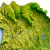 Mapa de Relevo de Pernambuco - comprar online