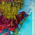 Imagem do Mapa de Solos do Rio Grande do Sul (1970)
