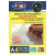 Papel Adesivo Holografico Transparente Off Paper 20 Folhas