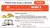 Calanthe - loja online