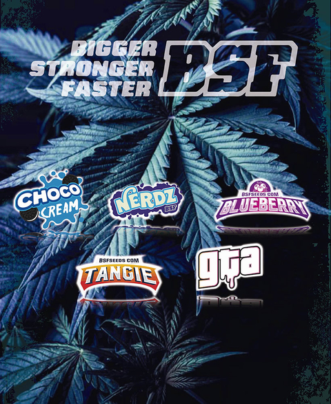 Carrusel Coco Grow Shop