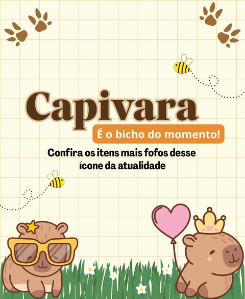 Carrossel 1
