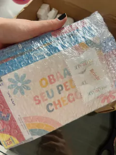 Lorena Sampaio - Santo Antônio da Platina, PR