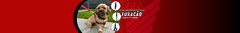 Banner da categoria Torcedor Athletico Paranaense