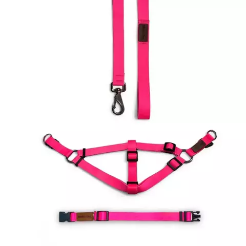 Kit Passeio Neon - comprar online