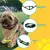 Kit Passeio Coritiba - WayPet