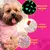 KIT Pijama Glow + Manta Glow - WayPet