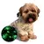 Pijama Glow - comprar online