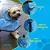 Capa de Chuva Dog