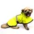 Capa de Chuva Dog na internet