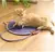 Tapete Arranhador de Corda Natural para Gatos - ArranhaCorda Felina - loja online