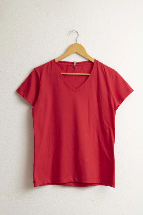 REMERA SALVIA JERSEY ESCOTE V