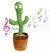 Cactus bailarin