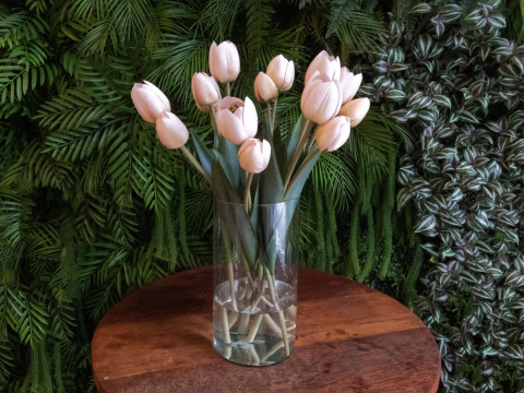 Tulipas (Champanhe) - comprar online