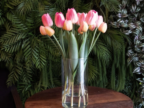 Tulipas (rosa) - comprar online