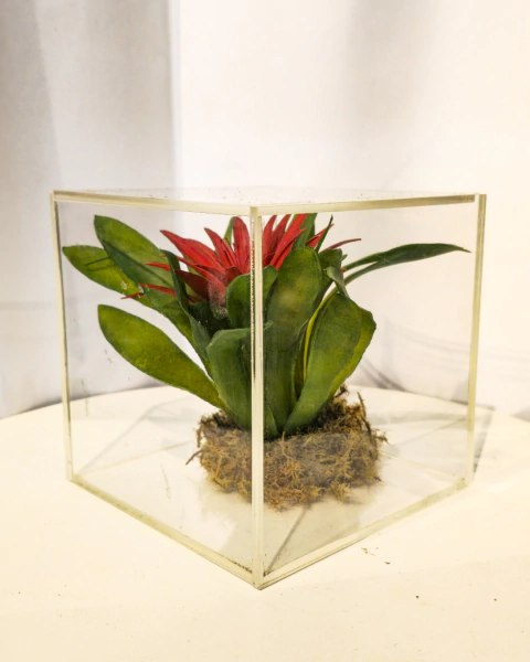 Flower Art Veredas - comprar online